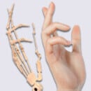 手指関節[+15,000円]