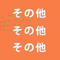 その他