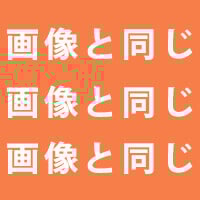 画像と同じ