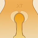 ゼロバックスラスト膣[+10,000円]