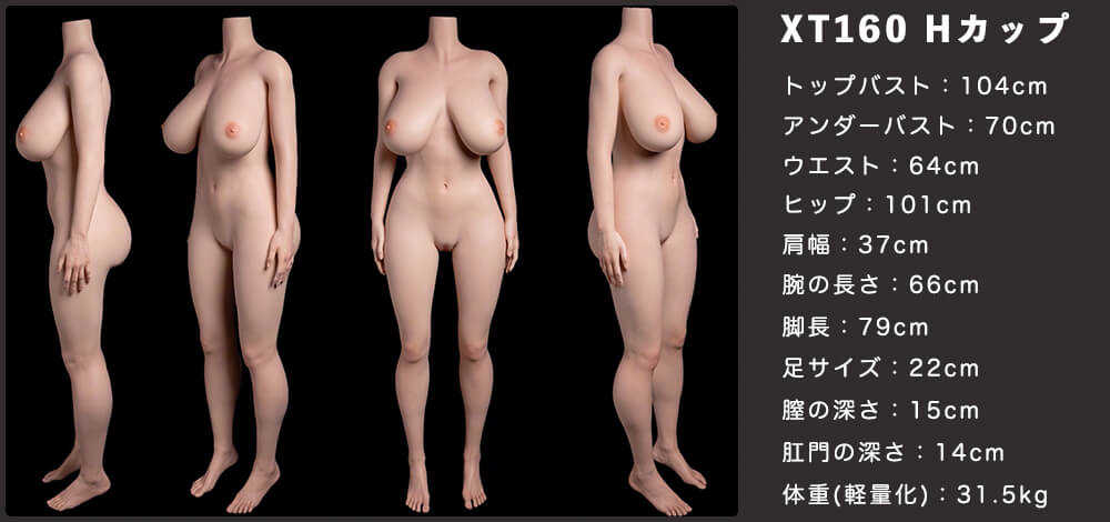 「XTDoll」の取扱開始について