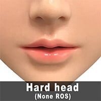 硬質ヘッド(オーラル機能無し)