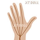 普通のワイヤー型