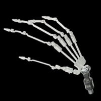 指骨関節（無料）