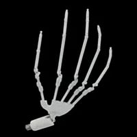 球型関節手の骨格[+13,000円]