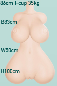86cm Torso[+22,000円]
