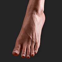 ハードフット(ボルトなし直立)[+8,000円]