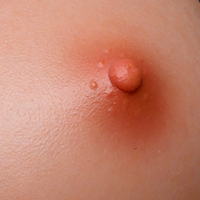 ライトブラウン